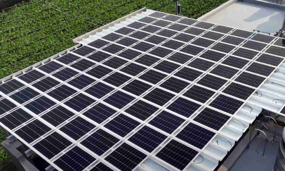 彩霸王SunSteel光电浪板升级双玻结构，，，以提升机械负载强度及气候耐候度，，可广泛运用于多元场域